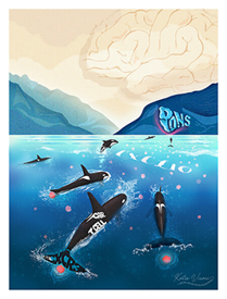 A symbolic artwork by Katie Vicari of powerful orcas, representing CAR T-cell therapy, navigate the ocean toward a "DIPG" mountain and a brain, symbolizing the lab's quest to find safe and curative treatments for pediatric brain tumors.