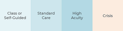 A chart showing levels of care for BAMP