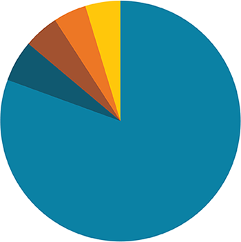 a pie chart