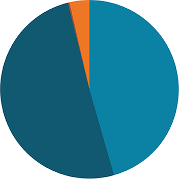a pie chart