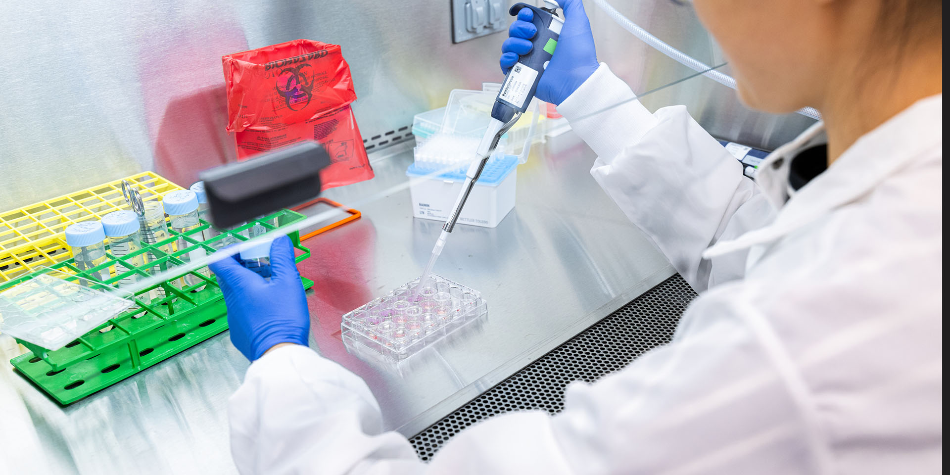 A researcher works with lab samples