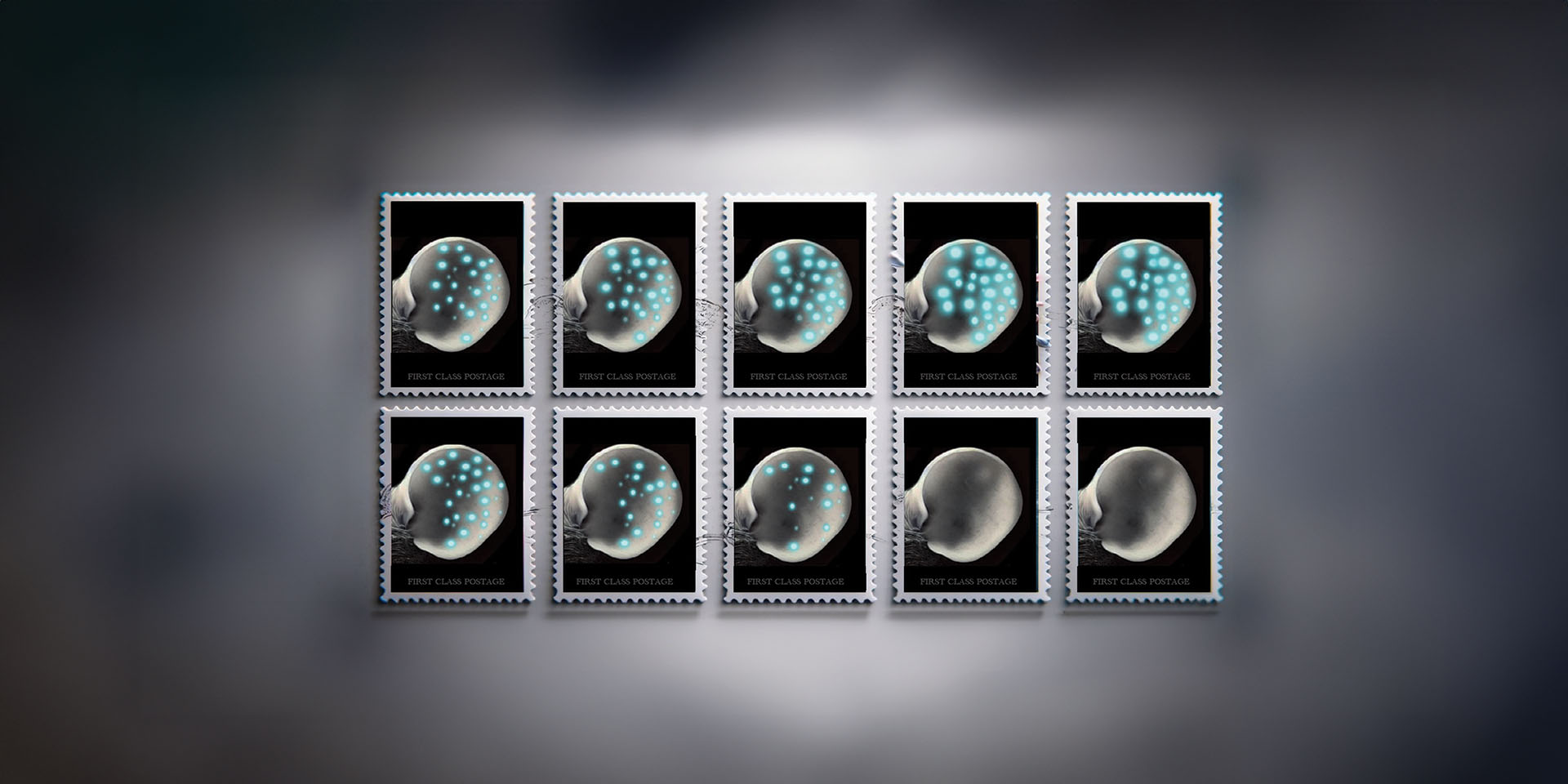 10 stamps depicting the role of dendritic cells (DCs) in orchestrating immune responses