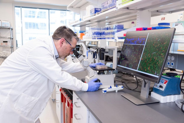 Seattle Children&rsquo;s Jason Debley, a pediatric pulmonologist and the interim director of Center for Respiratory Biology and Therapeutics, observes airway epithelial cells from his lab&rsquo;s large biorepository under microscopy