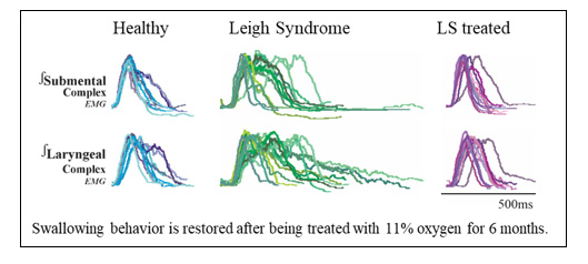 Swallowing behavior was restored through 11% oxygen treatment for six months