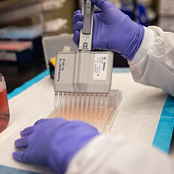 A researcher performs an experiment