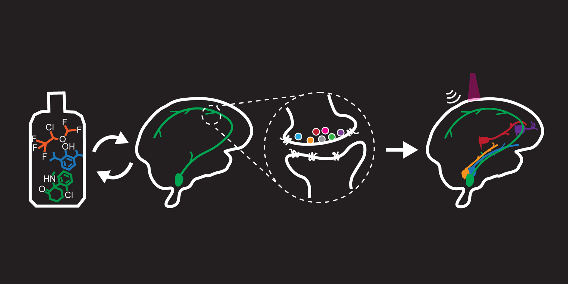 Chart depicting neuromodulation 