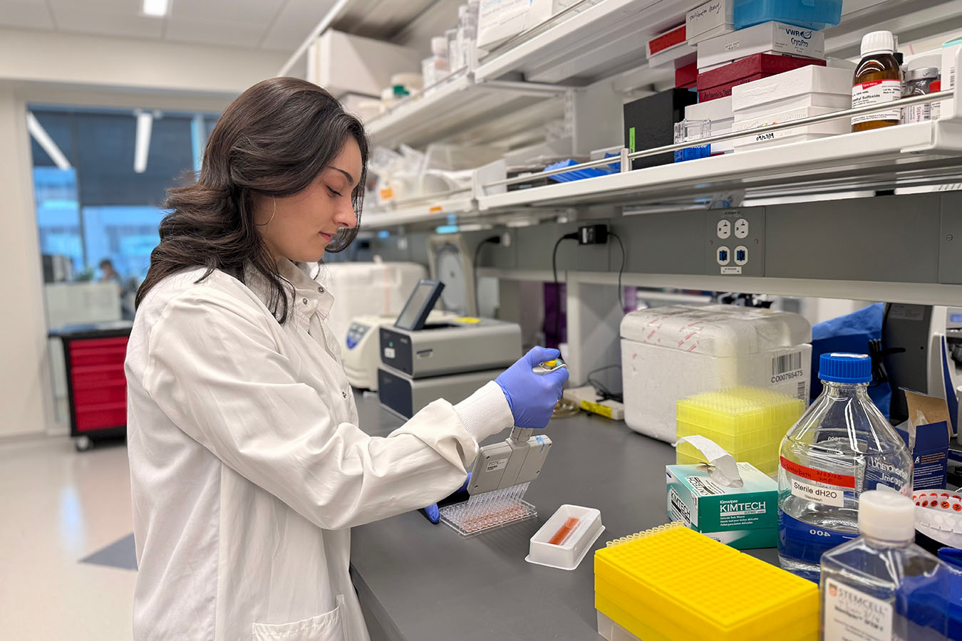 A Seattle Children's researcher examines a sample