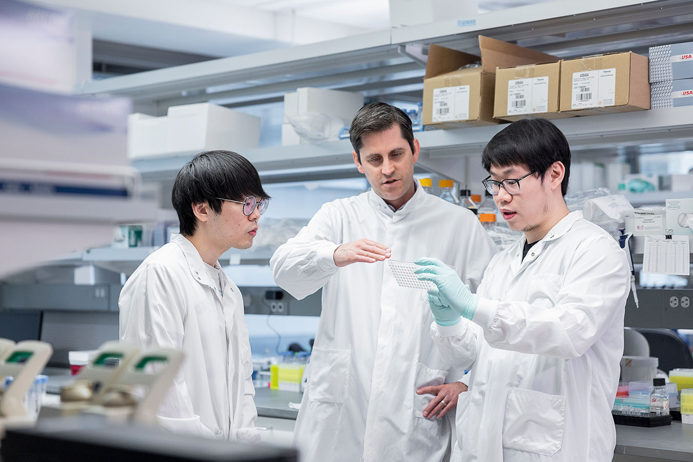 Three researchers look at a sample