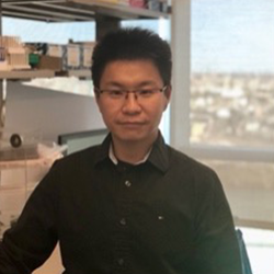 Edward  Song, PhD 